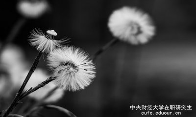 想上中央財經(jīng)大學在職研究生去哪里報名？