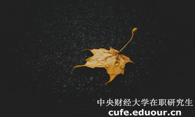 中央財經(jīng)大學(xué)在職研究生與課程研修班有哪些區(qū)別？