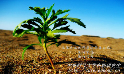 中央財(cái)經(jīng)大學(xué)在職研究生同等學(xué)力申碩有哪些優(yōu)勢(shì)？